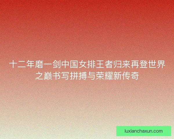 十二年磨一剑中国女排王者归来再登世界之巅书写拼搏与荣耀新传奇